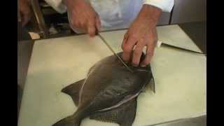 Cleaning amp Preparing Triggerfish [upl. by Lobiv]