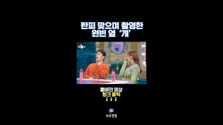 아저씨 원빈 옆에서 뜨거운 탄피🔫 맞고도 참았던 이재원 뚜루깔깔 라스 shorts [upl. by Yelime]