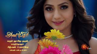 Anamika  Title Song Video  அனாமிகா  From Start 19 May 2024  2 PM  Sun TV  Tamil Serial [upl. by Yrkcaz]