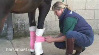 How to bandage your stable horse [upl. by Landa]