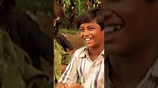 Damakku Damakku Song  Ilaiyaraaja  Parthiban  Nandita Das  Azhagi Movie  oldmemories [upl. by Rawlinson]