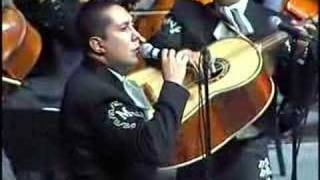 MARIACHI VARGAS DE TECALITLAN EL PASTOR [upl. by Hairem]