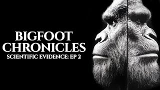 Scientific Evidence from Head to Toe  Bigfoot Chronicles EP2 [upl. by Arral]