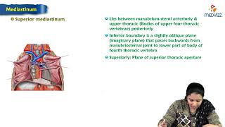 8 Mediastinum  Anatomy of Thorax  MBBS Lecture [upl. by Rennold966]