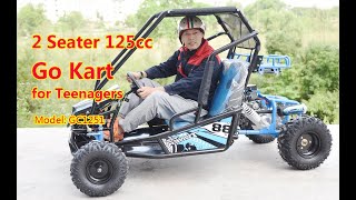 Factory Direct Buying 125cc 150cc 2 Seater Go Kart for Teenagers [upl. by Hara]