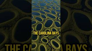 Evidence of an Ancient Catastrophe Carolina Bays mystery history ancient joerogan shorts jre [upl. by Neladgam974]