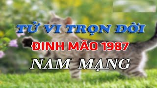 Tử vi trọn đời tuổi Đinh Mão 1987 nam mạng Tiền vận đôi chút khó khăn song đến trung và hậu vận [upl. by Kissner]