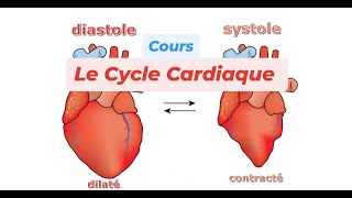 LE CYCLE CARDIAQUE [upl. by Muldon302]