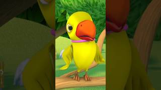 Main Tota Hare Rang Ka Parrots Rhyme मैं तोता मैं तोता shorts hindishorts birdslover preschool [upl. by Arbrab]