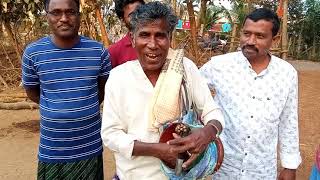 Nakkileesu Golusu Original song palasa Singer 🎤 ASIRAYYA Folk song 🎶Janapadhalu 😍😎 [upl. by Lilith832]