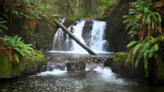 The Forest Waterfall HD  The Calming Sound of Water [upl. by Aztiram]