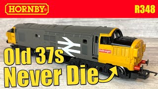 Old Hornby Class 37s Never Die  Secondhand Model Railway Reviews  OO Scale R348 [upl. by Adnohser]