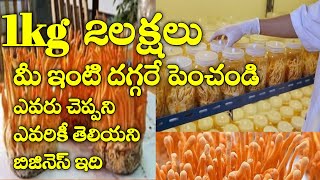 Cordyceps Militaris నెలకు5లక్షలు సంపాదించండి  ఎవరికీ తెలియని బిజినెస్ ఇది మీరే King [upl. by Ambrogio551]