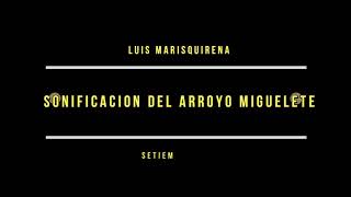 Sonificacion Arroyo Miguelete Luis Marisquirena Set2021 [upl. by Yung]