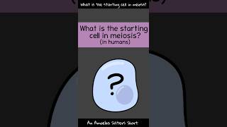 Starting Cell in Meiosis  Amoeba Sisters Shorts [upl. by Argela]