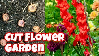 Plant A Cut Flower Garden With Summer Bulbs [upl. by Sremmus]