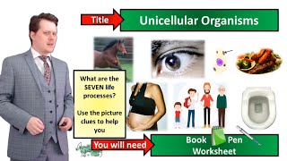 Unicellular Organisms  Biology  KS3  Key Stage 3  Mr Deeping [upl. by Ok]