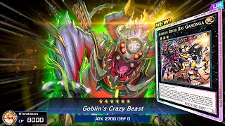 THE NEW GOBLIN BIKER CARDS WILL BE A BIG PROBLEM on YuGiOh Master Duel [upl. by Zsolway]