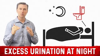 How to Fix Frequent Urination at Night Nocturia – Dr Berg [upl. by Ilohcin]