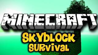 Minecraft Skyblock Survival Ep 10 w Luclin amp Wolv21 HD [upl. by Urquhart492]