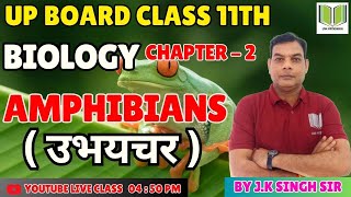 BIOLOGY  CLASS 11th  CHAPTER  2  Amphibians  उभयचर   BY JK SIR  LIVE PATHSHALA [upl. by Ellie]