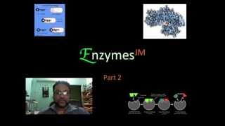 Enzymes JM Part 2mov [upl. by Lawlor]