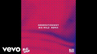 ZHU  Generationwhy Big Wild Remix Audio [upl. by Noinatrad203]