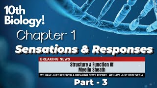 Structure and function of myelin sheath  class 10  english medium  lesson 1  kerala [upl. by Zurheide358]