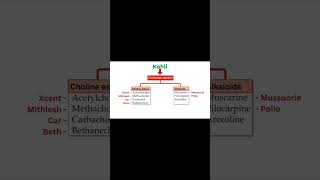 Cholinergic Agonists Mnemonics [upl. by Barnum]