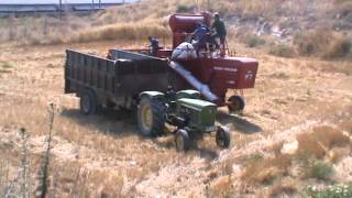 combine harvester mf 400 aradippou cyprus 11 [upl. by Silirama]