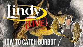 LINDY LIVE 🔴 Ice fishing BURBOT LIVE with Nate Altendorf [upl. by Leahcimsemaj319]