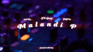 Jeyem  Malandi P feat Marko Visualizer Official Lyric Video [upl. by Aihsak]