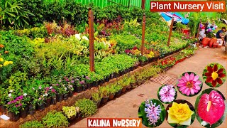 Plant nursery Visit  Plant price with Names  Cheapest plant nursery  Kalina Nursery Mumbai [upl. by Elleynod]