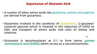 Metabolism of Acidic Amino Acids  Metabolism of Aspartic Acid and Glutamic Acid [upl. by Bang]