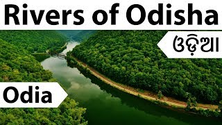 Odia  Important Rivers of Odisha  Geography of Orissa in Oriya for OPSC OSSC OTET and other exams [upl. by Atinnor711]