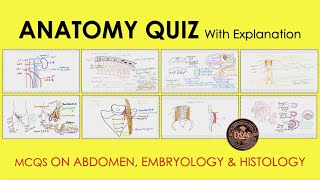 Anatomy MCQs Abdomen MCQ Embryology MCQ Histology MCQ Anatomy Quiz neetpg [upl. by Anomar732]