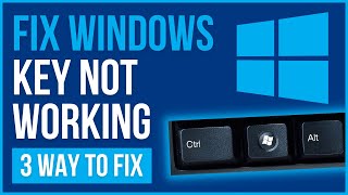 Fix Some keys on Laptop Keyboard Not Working in Windows 10  Solve keyboard keys Wont typing ⌨️ ✅ [upl. by Aday]