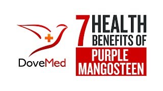 7 Health Benefits Of Purple Mangosteen [upl. by Anegroeg]