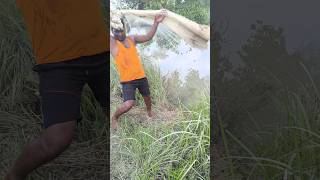 River in fisherman catch fishing  youtube short trending [upl. by Meelas177]