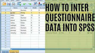 How to Enter Questionnaire Data in SPSS in urdu hindi SPSS QuestionnaireSurvey Data Entry [upl. by Fennessy]