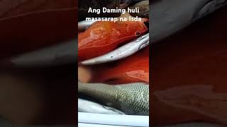 Masasarap na Isda Ang Nahuli fishing fishing fishingvideo fish fish viralvideo [upl. by Ynnol255]