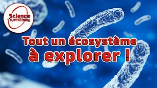 Microbiote  le monde secret de vos intestins  Science En Questions [upl. by Yanttirb]