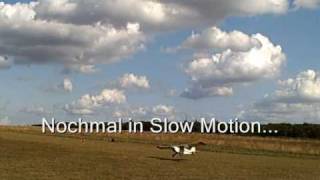 Modellflug  Pleiten Pech und Pannen  funny RC plane crashes [upl. by Donatelli414]