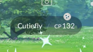 Shiny Cutiefly  Unreleased Shiny ✨ Pokémon Cutiefly  Pokémon Go [upl. by Dodwell]