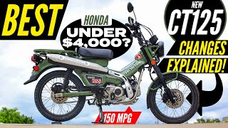 NEW Honda Trail 125 Review  CT125  Better than Grom Monkey amp Super Cub Motorcycles [upl. by Nathalia487]