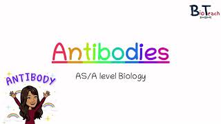 Antibodies Structure and function ASA level Biology  BioTeach [upl. by Jowett794]