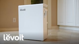 Levoit  True HEPA Air Purifier LVPUR131 [upl. by Maxie]