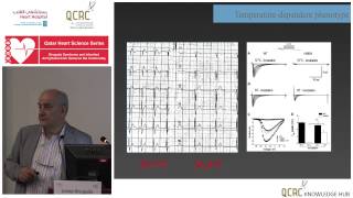 Josep Brugada  Brugada Syndrome Risk Stratification [upl. by Noraj120]