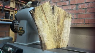 Ordinary to EXTRAORDINARY SPALTED WINGED CROTCH Woodturning [upl. by Lotson375]