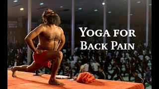 Yoga for Back Pain कमर दर्द के लिए योगासन [upl. by Silin939]